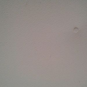 Meet your Posher, Beatriz